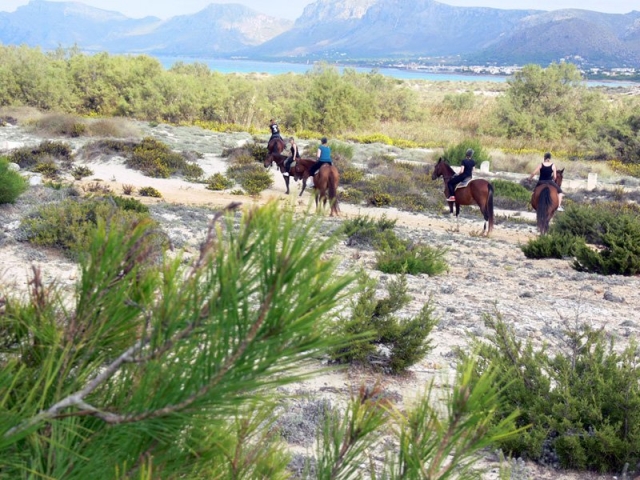 con los caballos llegando a la playa
